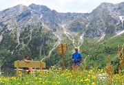 71 Quinta panchina alla Baita Pegherolo (1700 m) con tripudio di fiori